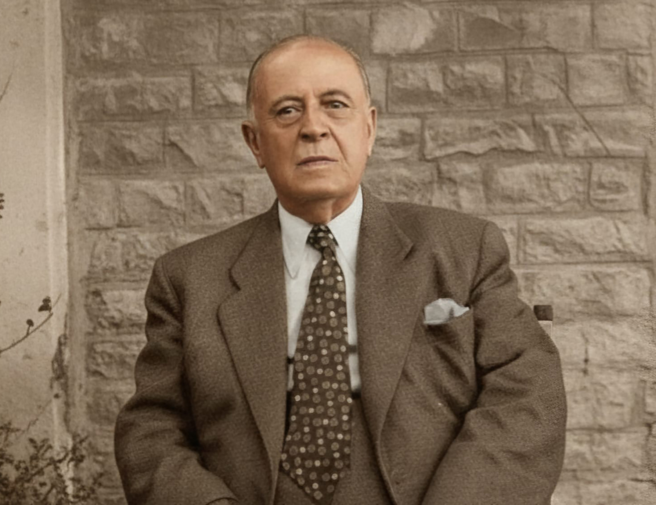 Ali İlmi Fani (Bilgili), 1948- Portre