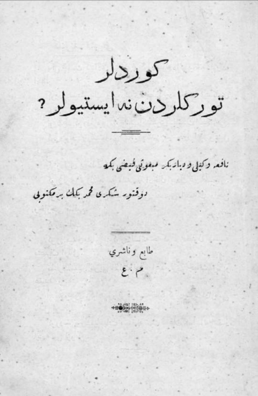 Kürdler Türlerden Ne ?stiyorlar