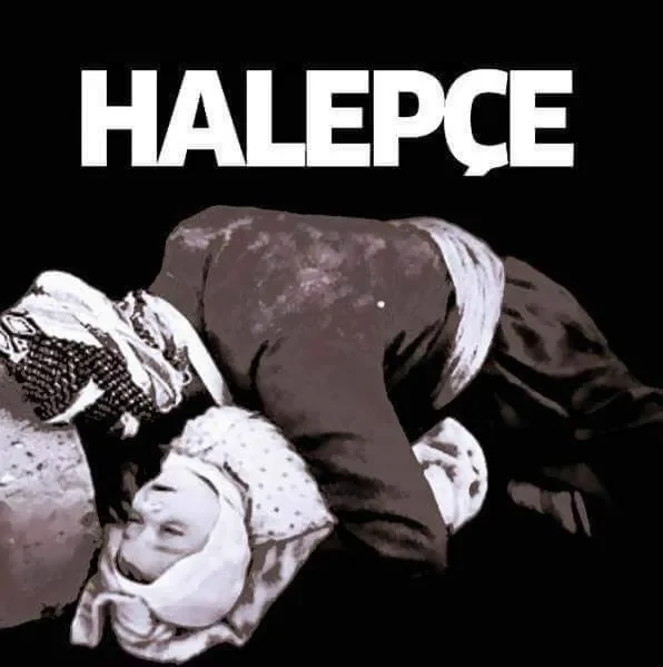 Helepçe, Wêne-1