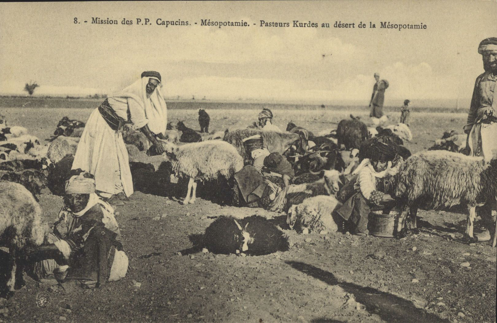 Kart, Bel_Mtf_025974-1