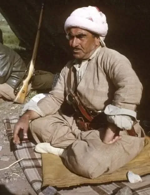 Barzanî wêne