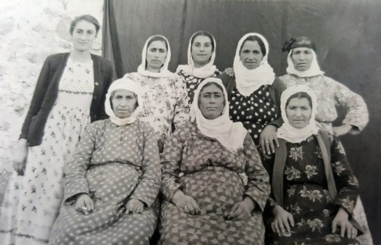 Dayika Yasar Kemal û komek Jinen Kurd