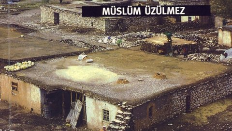 hilar-adinin-koken-v-af1454d4bb1b595eedf4