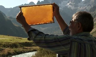 Wêneyek ji fîlma The Beekeeper