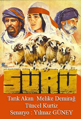 Afîşa fîlma Sürü